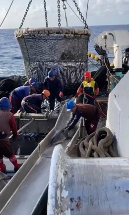 Dispositivo desarrollado por Azti que permita la vuelta de especies al mar