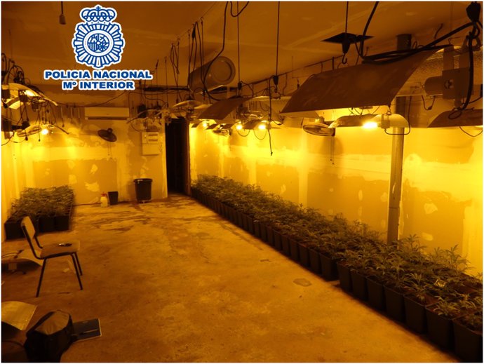 Imatge del garatge de Cornell de Llobregat on van desmantellar 385 plantes de marihuana.