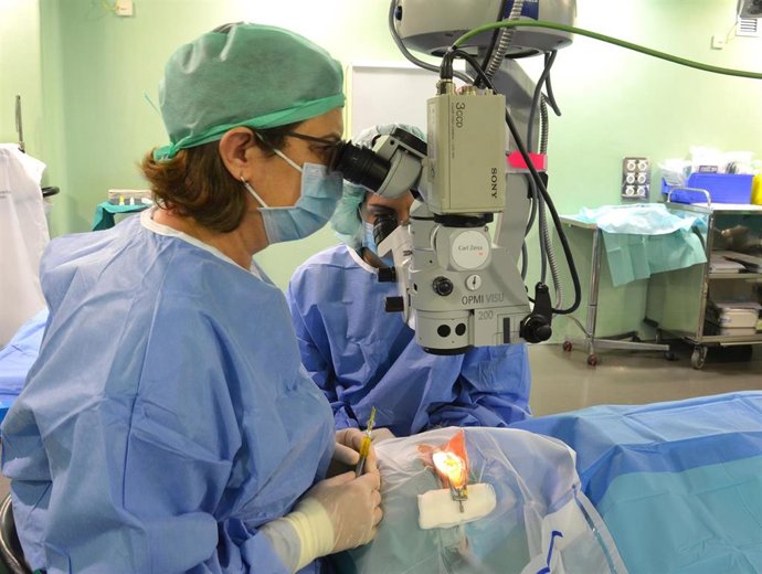 Realización de la técnica oftalomológica