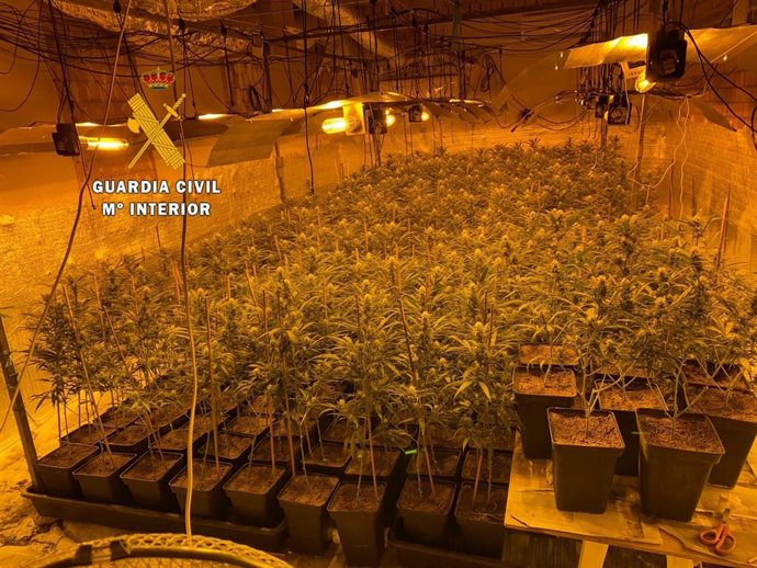 Vídeo de la noticia