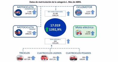 Sector