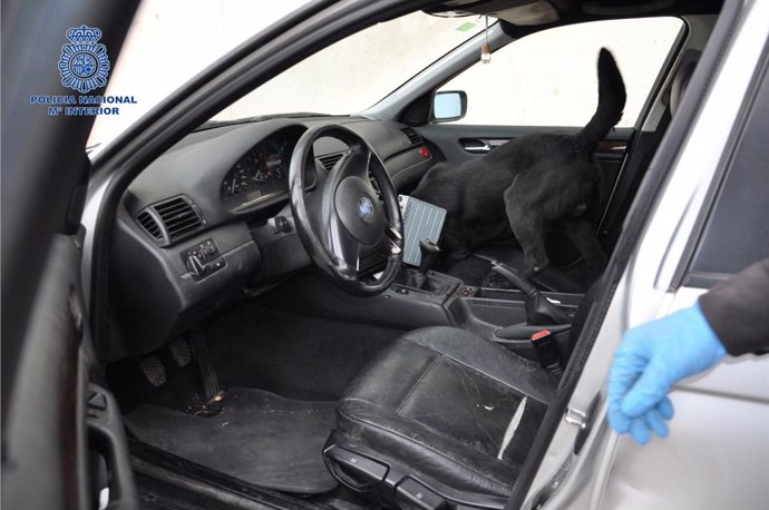 El guía canino de la Policía Nacional inspecciona el coche.