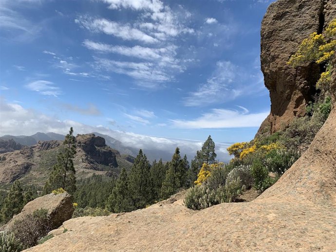 Archivo - Subida al Roque Nublo en Gran Canaria. Cumbre de Gran Canaria, turismo, senderismo, naturaleza