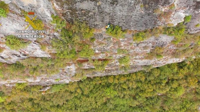 Imagen del rescate de la perra.