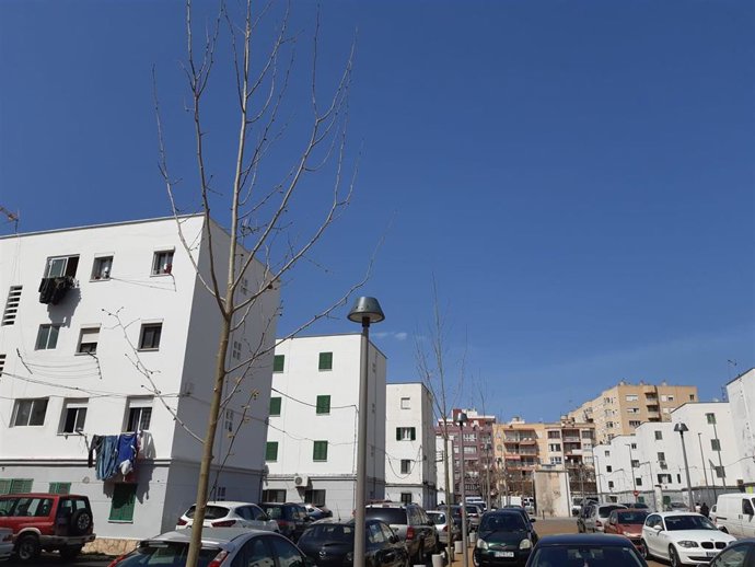 Viviendas en Camp Redó, en Palma.