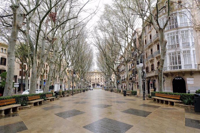 Archivo - El Paseo del Borne, en Palma.