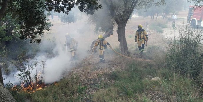 Sofocan un incendio agrícola tras descontrolarse una quema en Santa María.