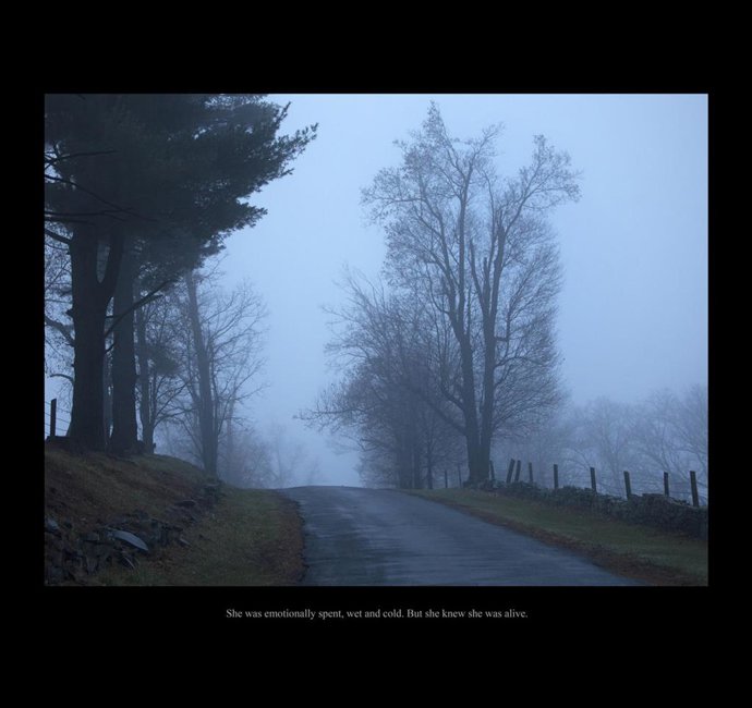 Archivo - Fotografía de 'The Story Series', de Carolyn Marks Blackwood.