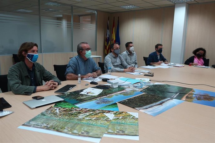 Reunión del Comité de Posidonia.