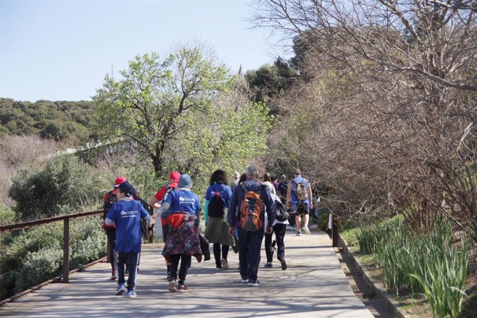 Archivo - Participantes de la caminata solidaria 'Magic Line' de Sant Joan de Déu, en Barcelona, en una imagen de marzo de 2019.
