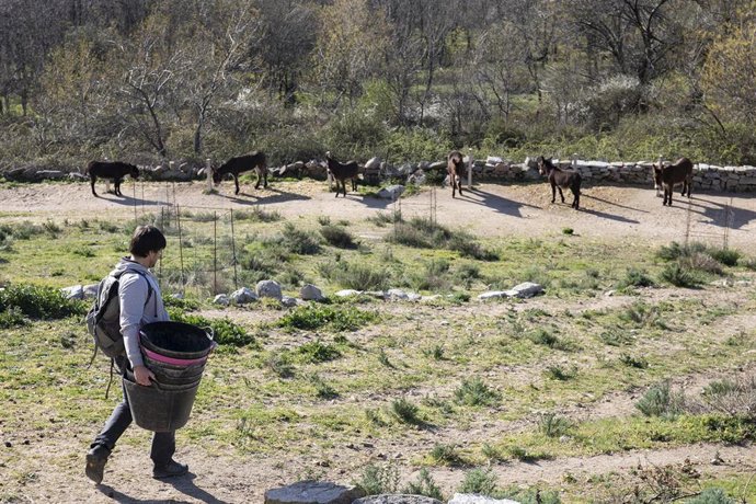 Archivo - Uno de los promotores de la Asociación Dejando Huella, Miguel en las inmediaciones de la Asociación en la localidad de Matalpino, Madrid (España), a 24 de marzo de 2021. La Asociación Dejando Huella surgió en este municipio de la sierra de Gua