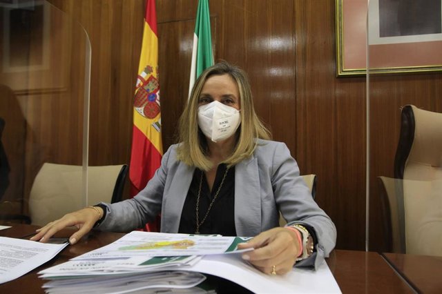 La consejera de Fomento, Infraestructuras y Ordenación del Territorio, Marifrán Carazo, en comisión.