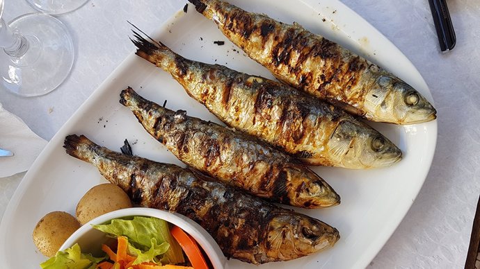 El consumo de sardina no sólo es asequible económicamente y fácil de encontrar, sino que es seguro y preventivo ante la diabetes tipo 2.