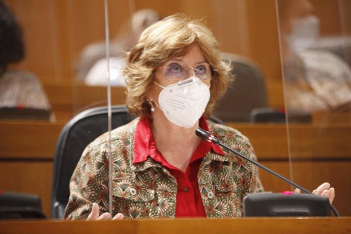 Archivo - Foto de archivo de la consejera de Ciudadanía y Servicios Sociales del Gobierno de Aragón, María Victoria Broto.