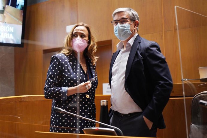 La consejera de Presidencia, Mayte Pérez, y el portavoz del PSOE, Vicente Guillén.