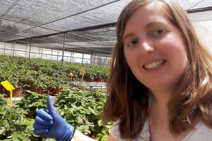 La tesis de Lucía Cervantes avanza en la obtención de nuevas variedades de frutos rojos más saludables