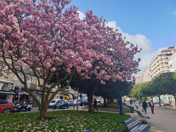 Archivo - Primavera en Santander