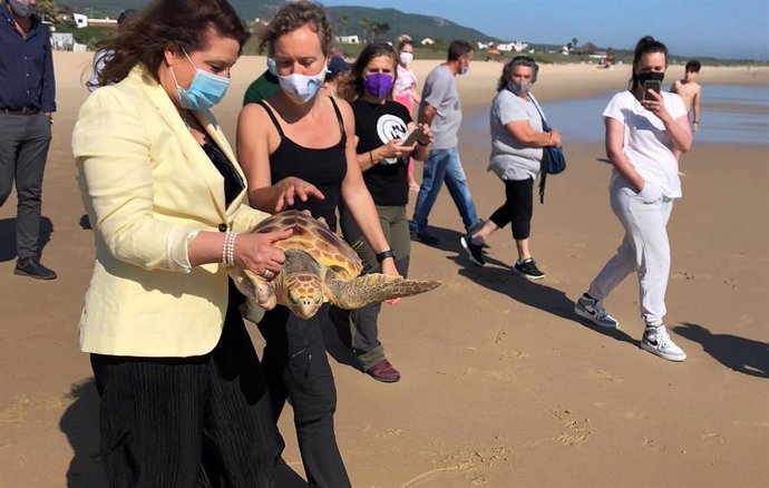 Carmen Crespo participa en la suelta de una tortuga boba en una playa de Cádiz