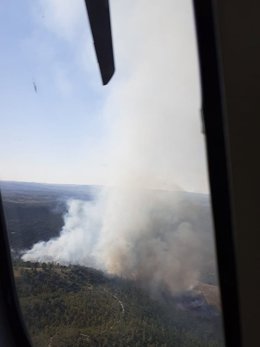 Incendio forestal en Calañas (Huelva)