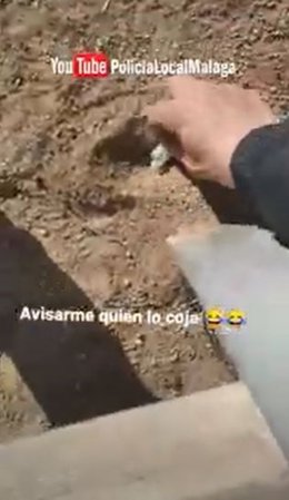 La Policía Local de Málaga informa a los Mossos de que un joven publicaba vídeos en redes escondiendo drogas en parques para que sus seguidores lo encontraran.