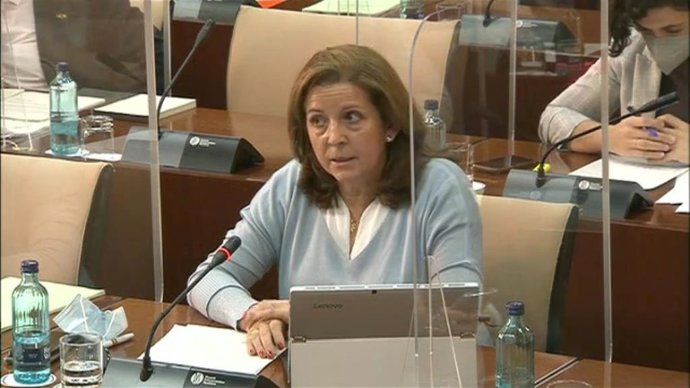 María José Piñero, parlamentaria de Vox en la Comisión de Salud y Familias