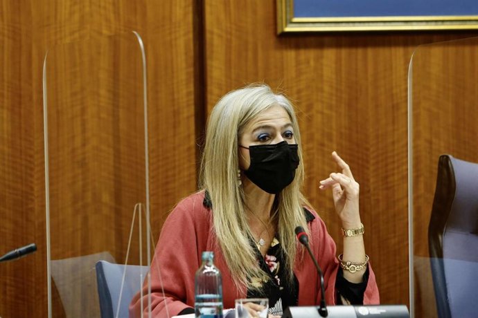 La consejera de Cutura y Patrimonio Histórico, Patricia del Pozo, en comisión parlamentaria