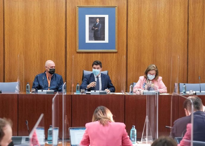 Comparecencia este viernes del ex chófer de Fernando Villén ante la Comisión de la Faffe, Juan Carlos Carrillo.