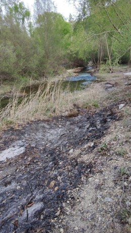 Zona calcinada en los márgenes del Río Castril (Granada)