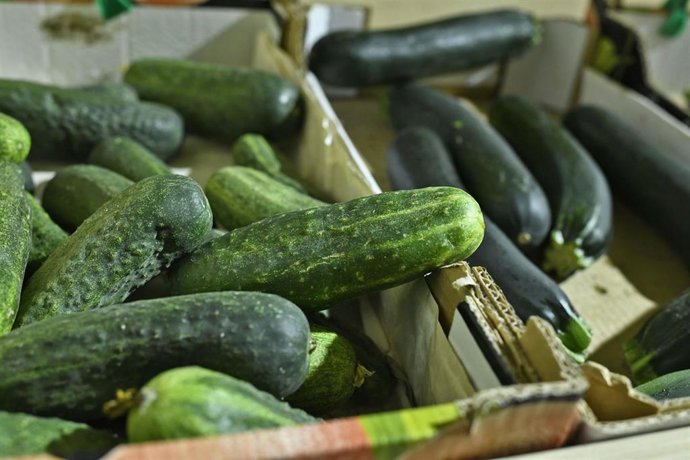 Archivo - Caja de pepinos y caja de calabacines en un mercado de Madrid.