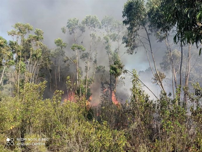 Imagen del Plan Infoca del incendio declarado este jueves en Calañas.