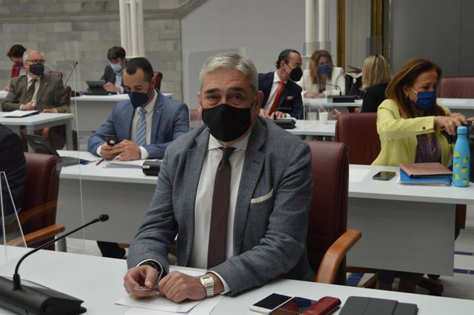 El portavoz del Grupo Parlamentario de Ciudadanos, Francisco Álvarez,