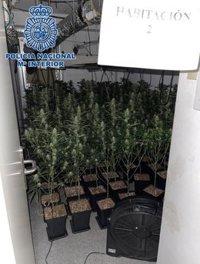 Cinco detenidos y 23 investigados en Granada tras la desmantelación de 59 enganches y nueve plantaciones de marihuana