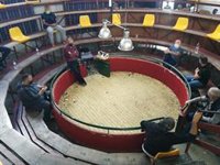 Desalojan un reñidero de gallos con 150 personas en Utrera (Sevilla)