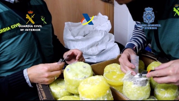 Desaticulada organización criminal que introducía cocaína en España dentro de piñas "preñadas"