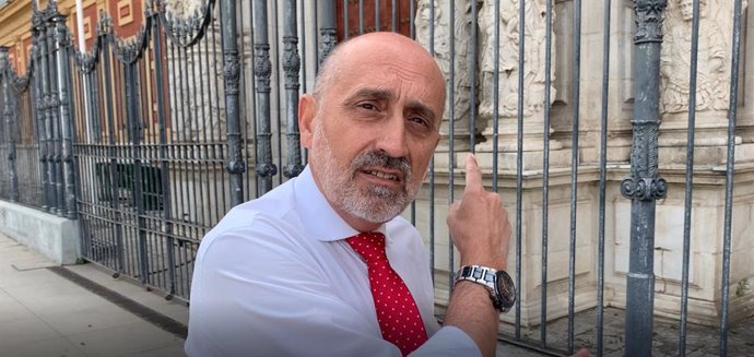El exdiputado del PSOE por Sevilla y profesor de Economía en la Universidad de Sevilla Luis Ángel Hierro.