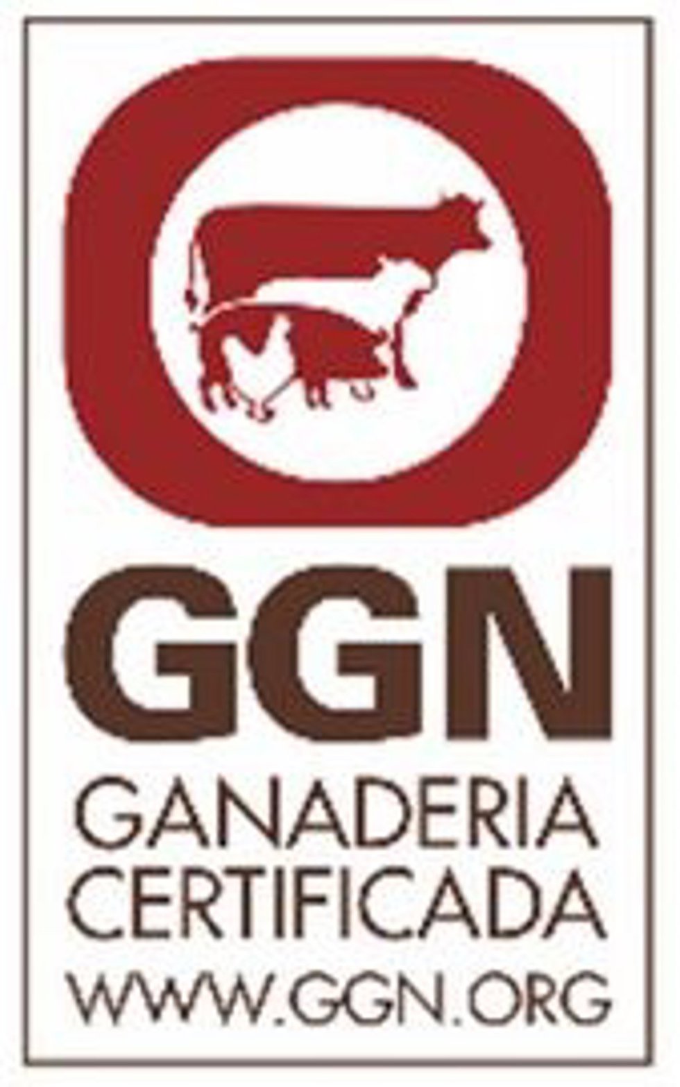 Makro logra la certificación Global GAP de bienestar animal en sus carnes de vacuno