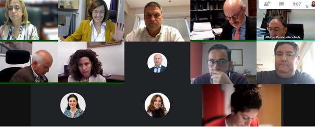 Reunión telemática de la Junta de Gobierno.