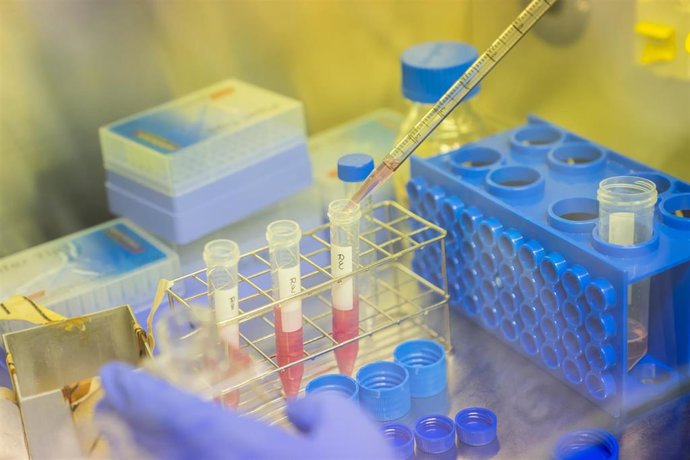 Archivo - Laboratorio del Hospital Sant Joan de Reus (Tarragona)