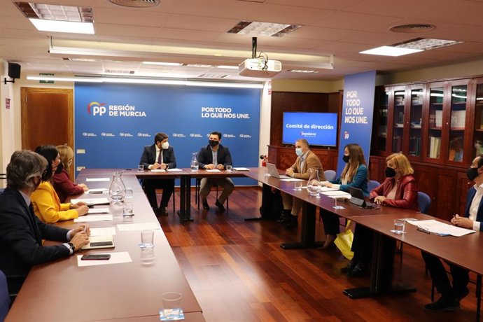 Reunión del Comité de Dirección del PPRM
