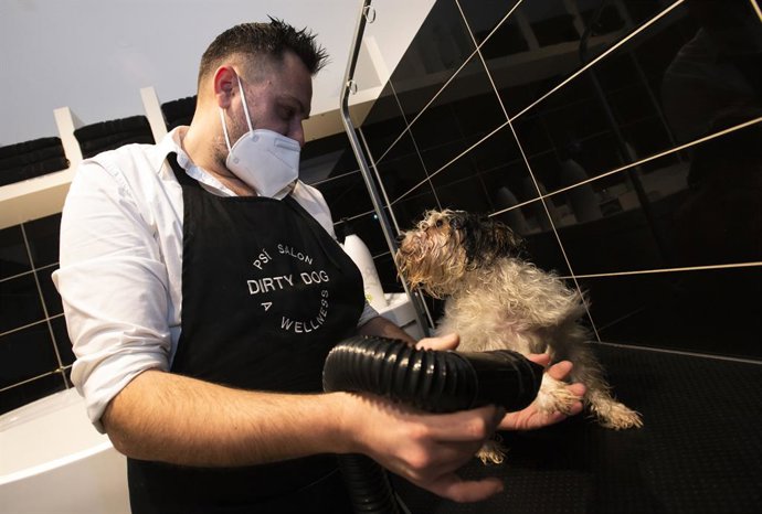 03 May 2021, Czech Republic, Prague: Martin Kuruc grooms a dog's coat at his "Dirty Dog" salon that was allowed to open after the relaxation of coronavirus-related restrictions. Photo: ?ulová Kateina/CTK/dpa
