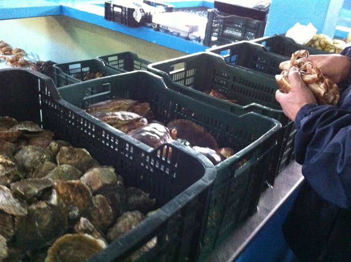 Archivo - Venta de marisco en una cetárea gallega, óstras, bueyes, y centollos