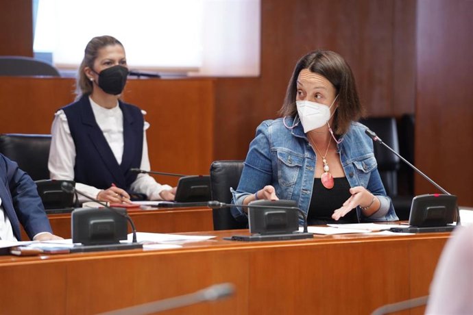 La diputada del PP Carmen Susín.