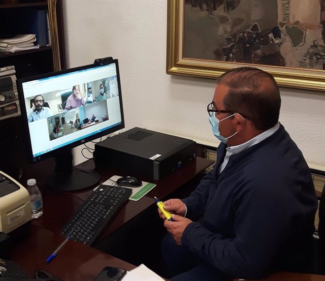 Castro asiste vía 'online' a la reunión sobre el PFEA.