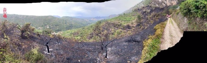 Incendio de vegetación en Alcalalí (Alcicante)