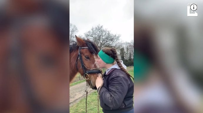 Una mujer compra un caballo por una libra y consigue rehabilitarlo