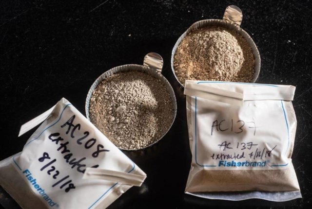 Sedimentos del fondo del océano, que se muestran después de la extracción de materiales como la cera de las hojas.