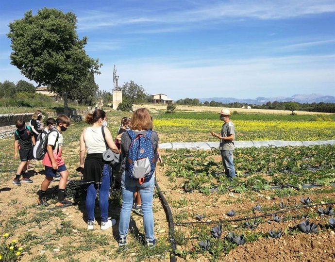 Archivo - Visita escolar agroalimentaria