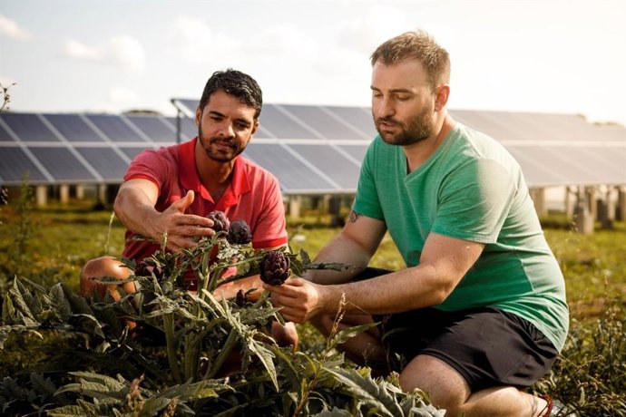Santander e IE University lanzan becas de formación para apoyar a pymes y autónomos