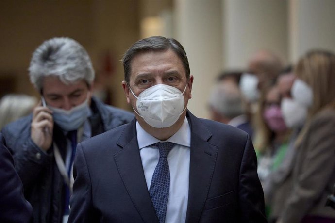 El ministro de Agricultura, Pesca y Alimentación, Luis Planas 