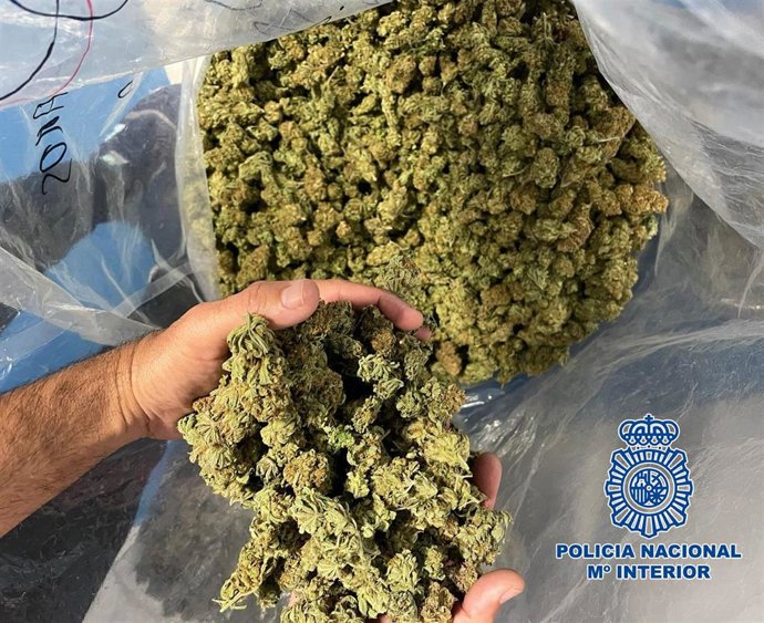 Detenido en Jerez (Cádiz) con más de 18 kilos de marihuana en su vehículo preparados para su venta